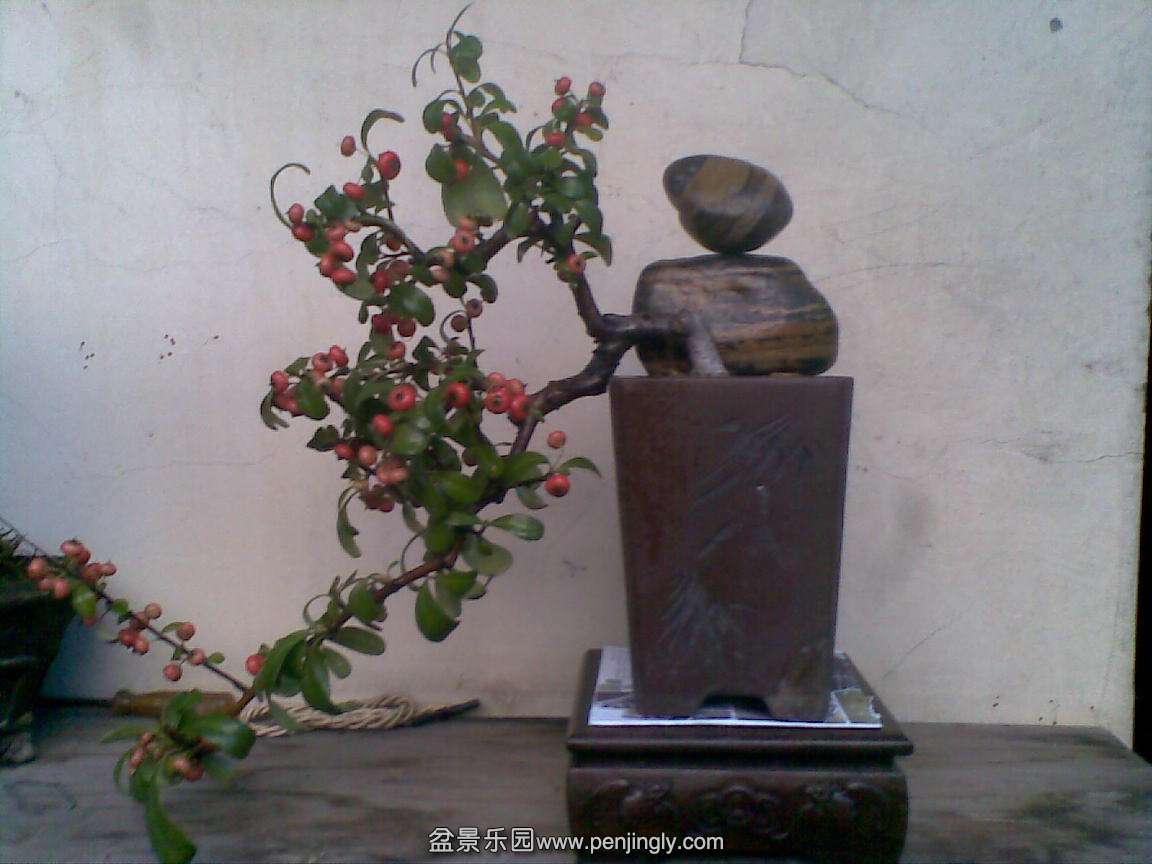 20141116(007).jpg