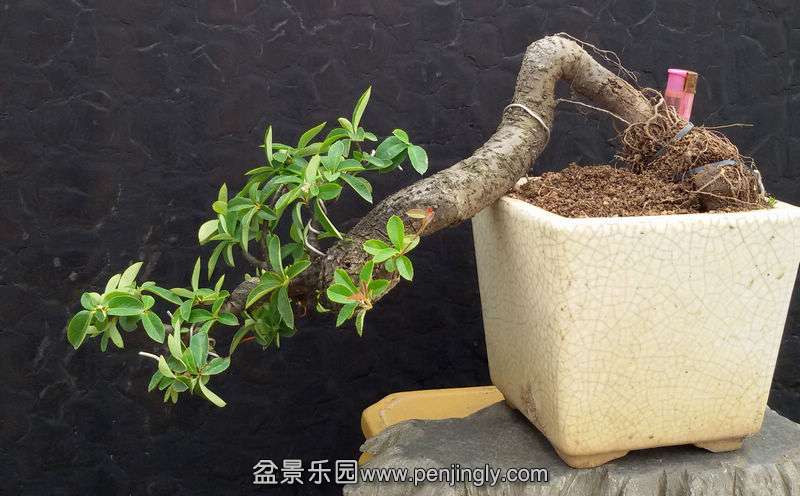 20141119_131922.jpg