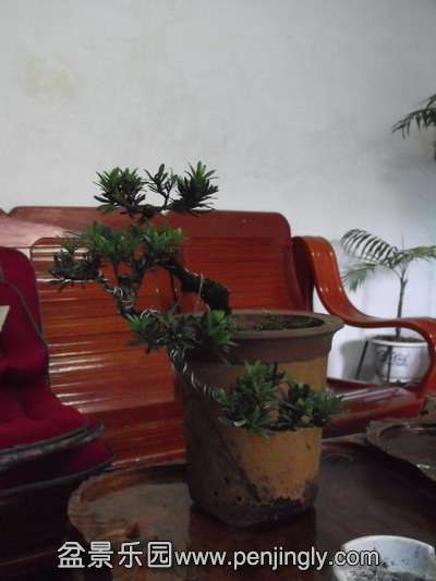 DSCF0508_СС.jpg