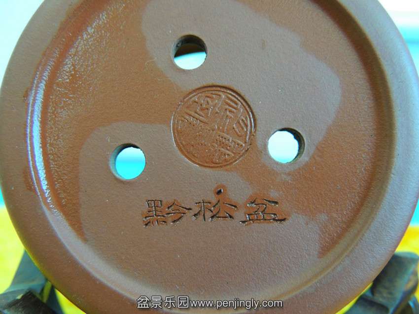 DSCN0374_.jpg