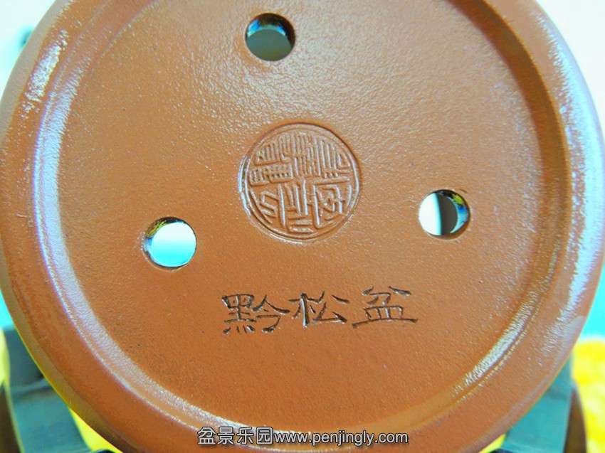 DSCN0375_.jpg