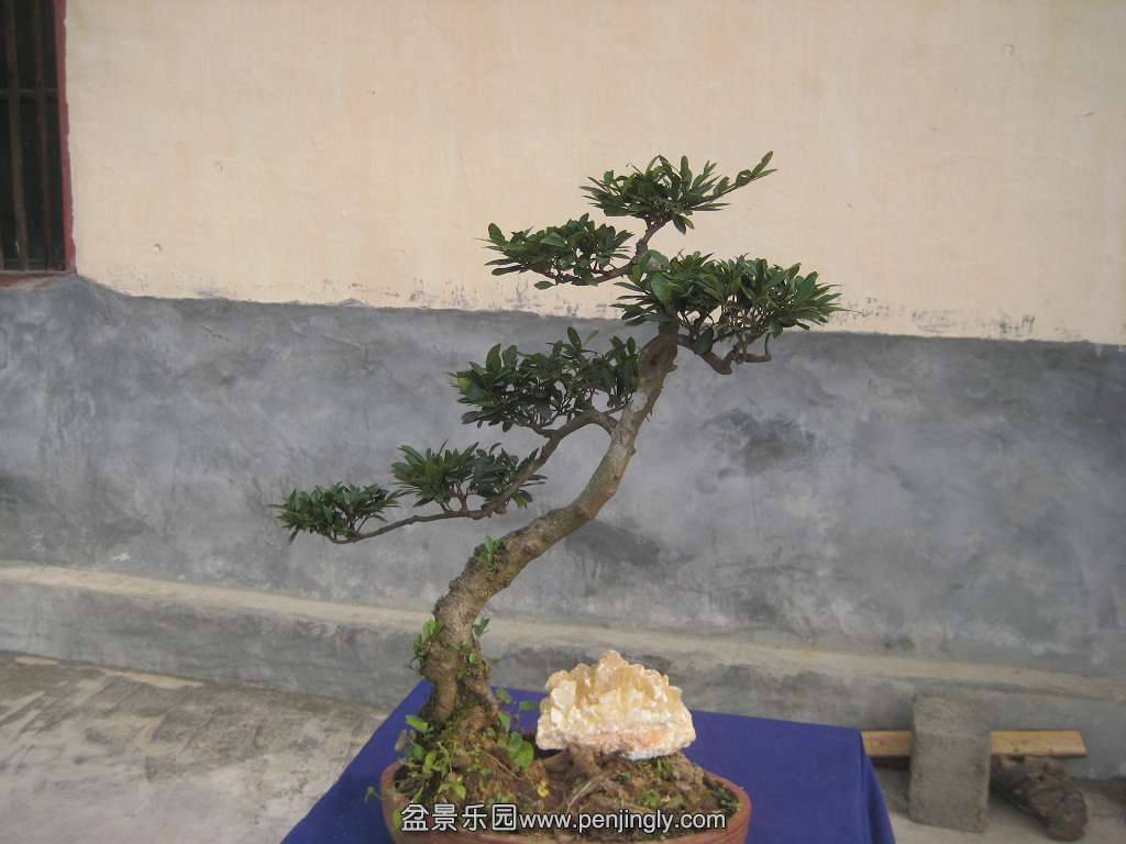 ���ڵ�����2