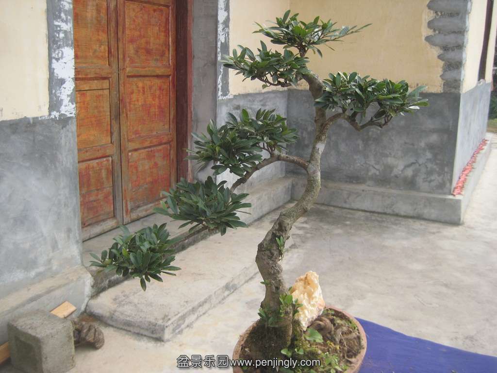 ���ڵ�����3