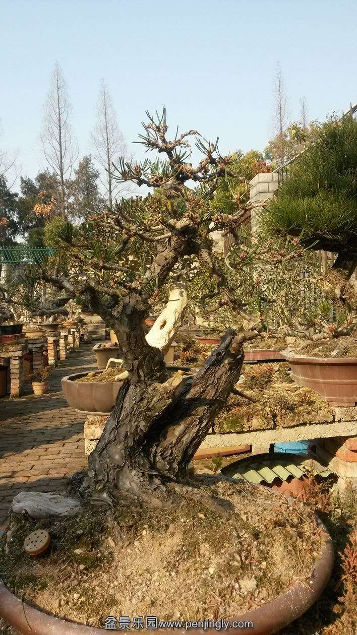 ������С 20140123_100527.jpg