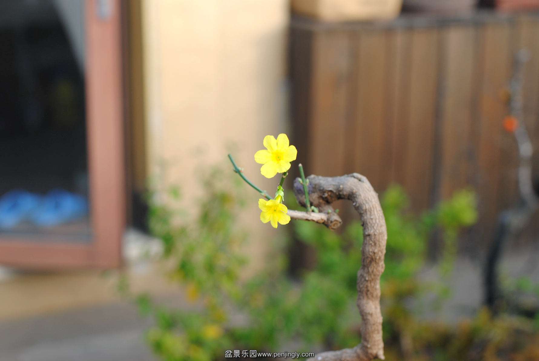 DSC_2718.JPG
