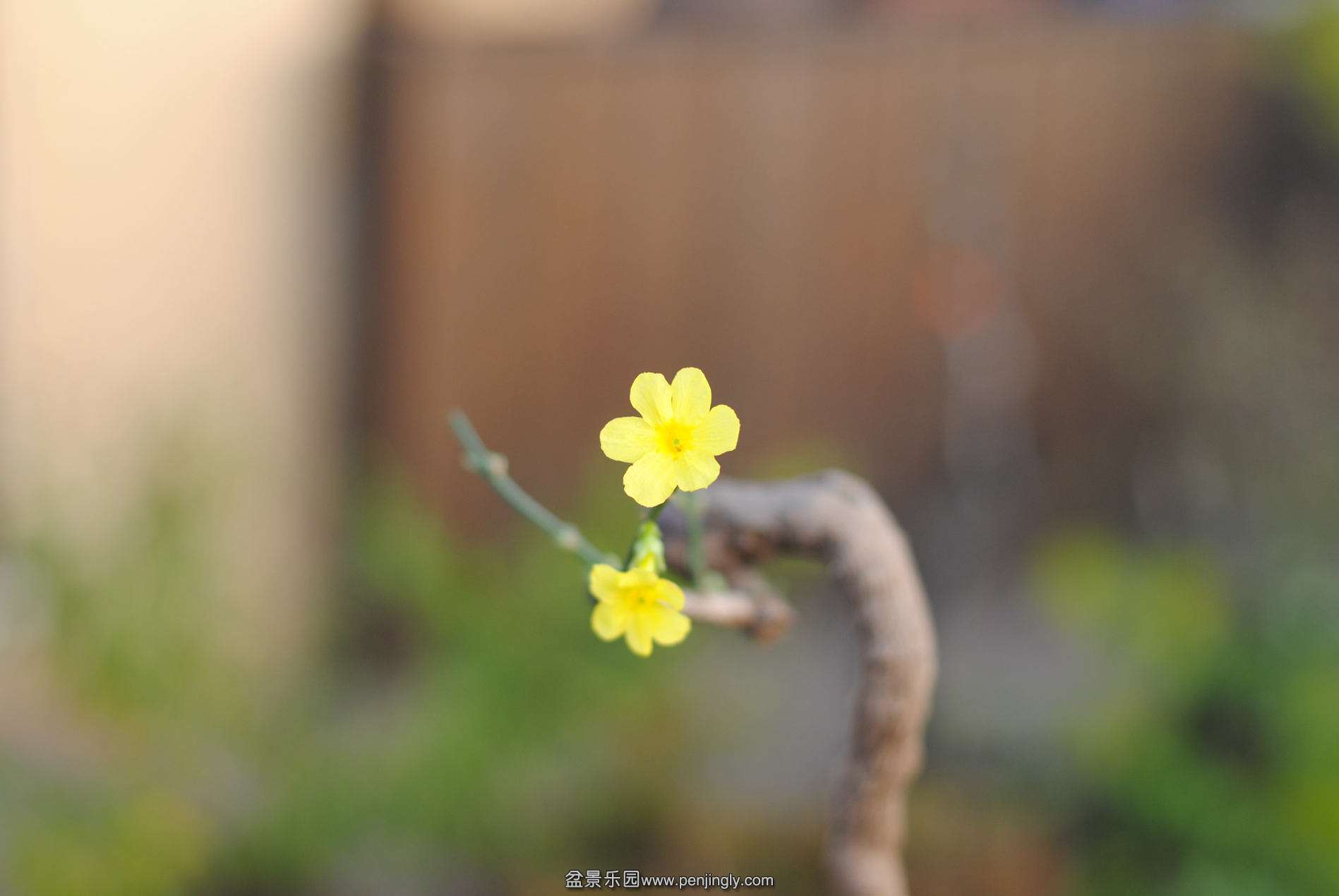 DSC_2722.JPG