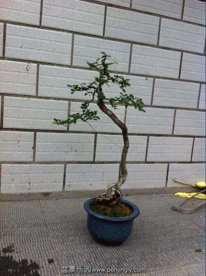 QQͼƬ20141122194731.jpg