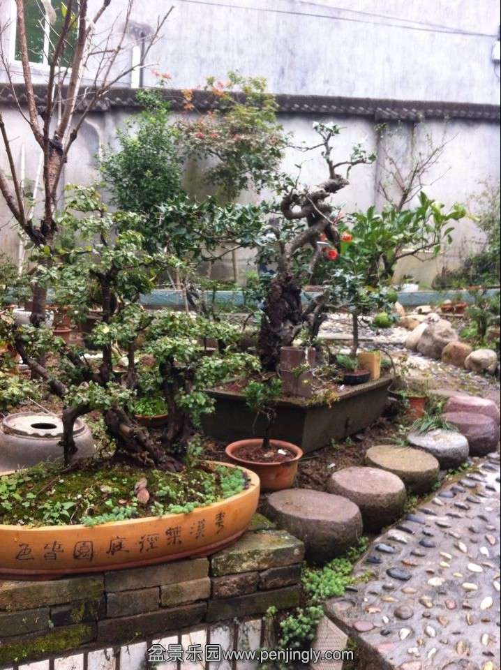 QQͼƬ20141122194716.jpg