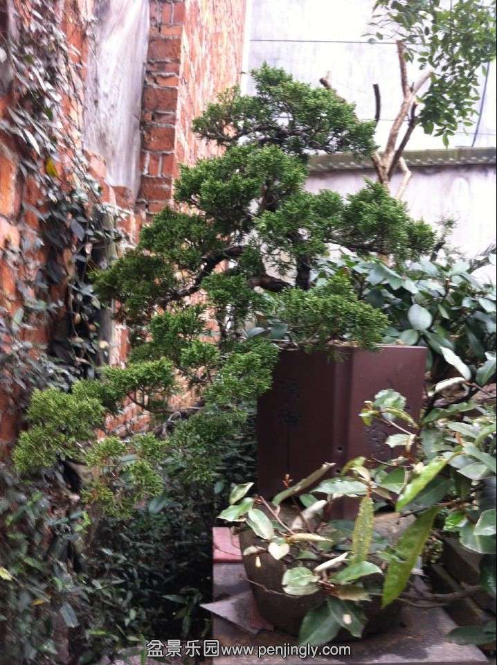 QQͼƬ20141122194702.jpg