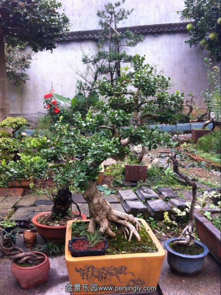 QQͼƬ20141122194638.jpg