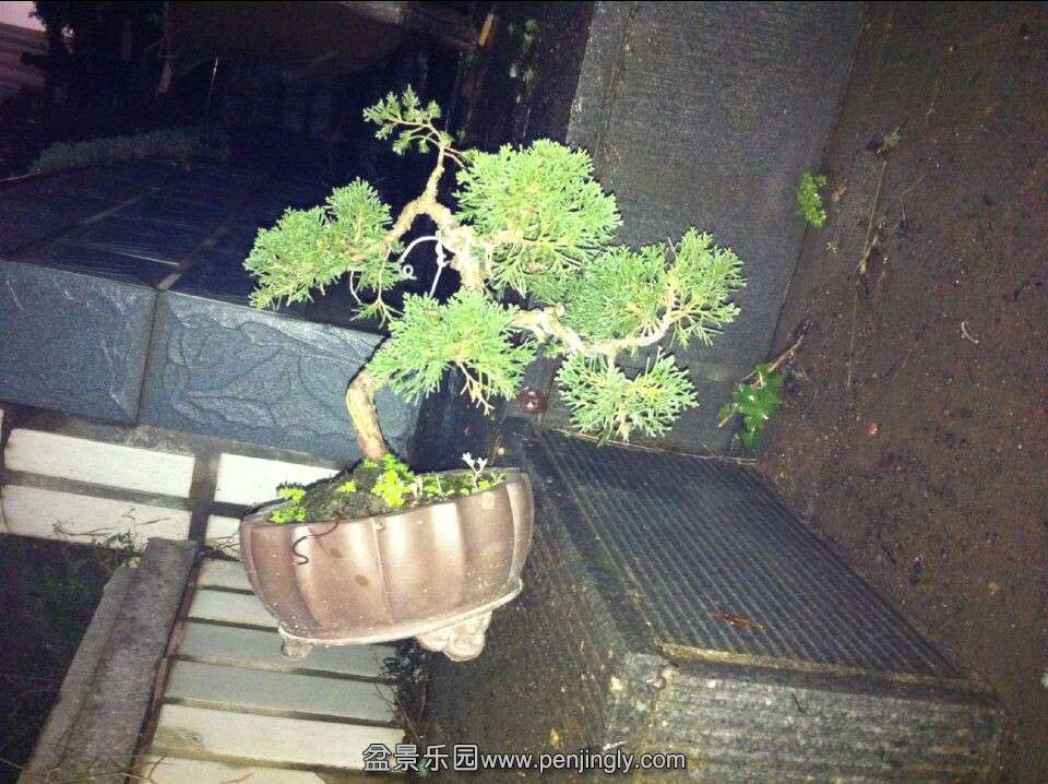 QQͼƬ20141122193548.jpg