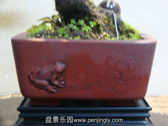 DSC09548.JPG