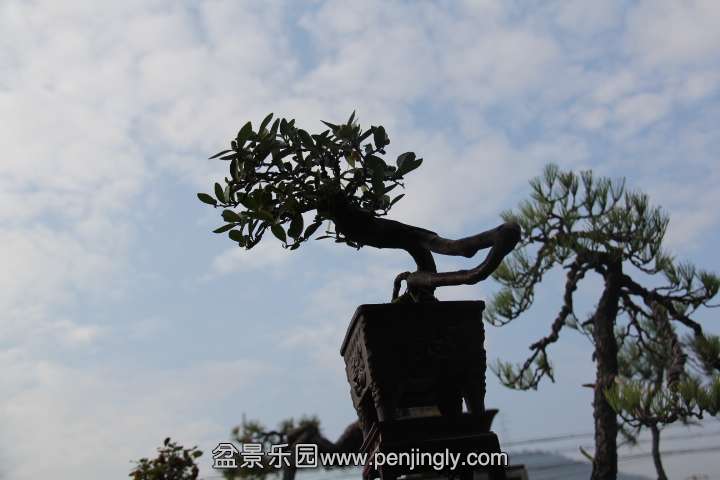 IMG_2327.JPG