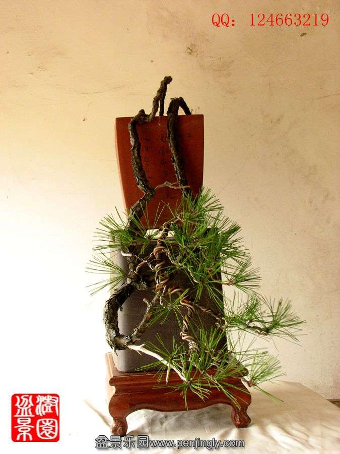 IMG_0457_.jpg
