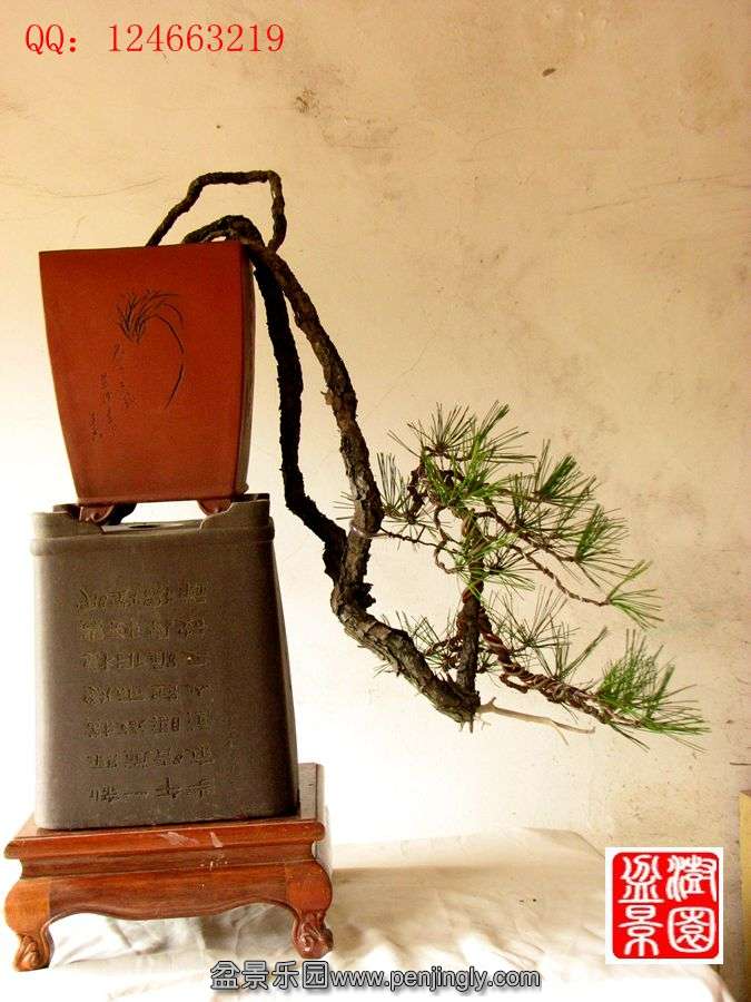 IMG_0458_.jpg