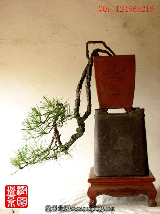 IMG_0462_.jpg