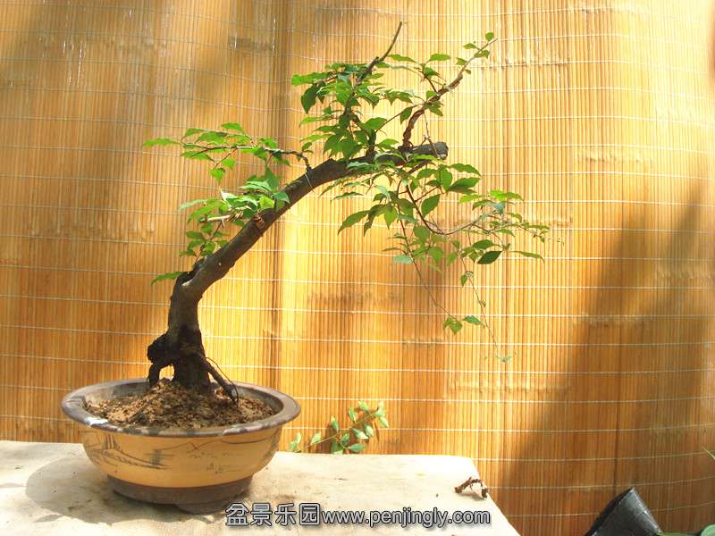 DSC02372_.jpg