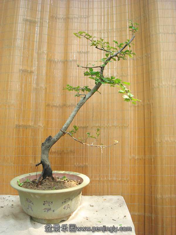 DSC02280_.jpg