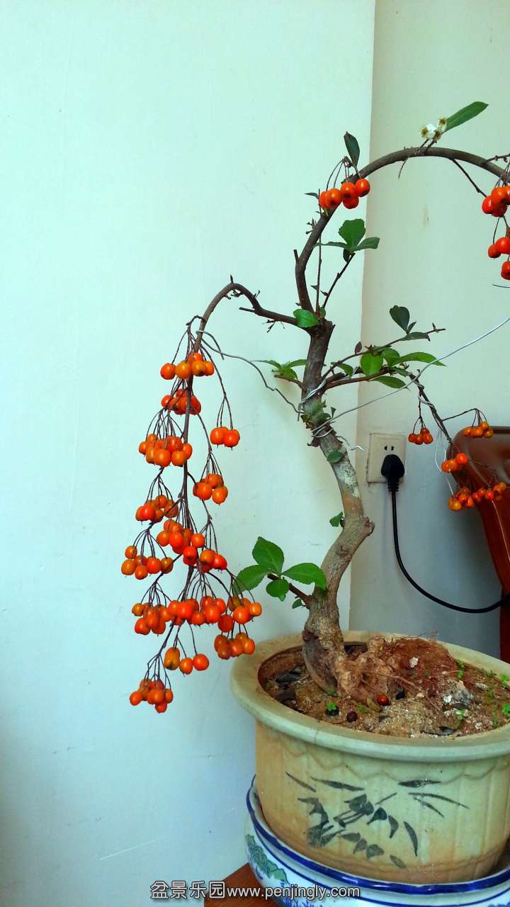 20141124_114114.jpg