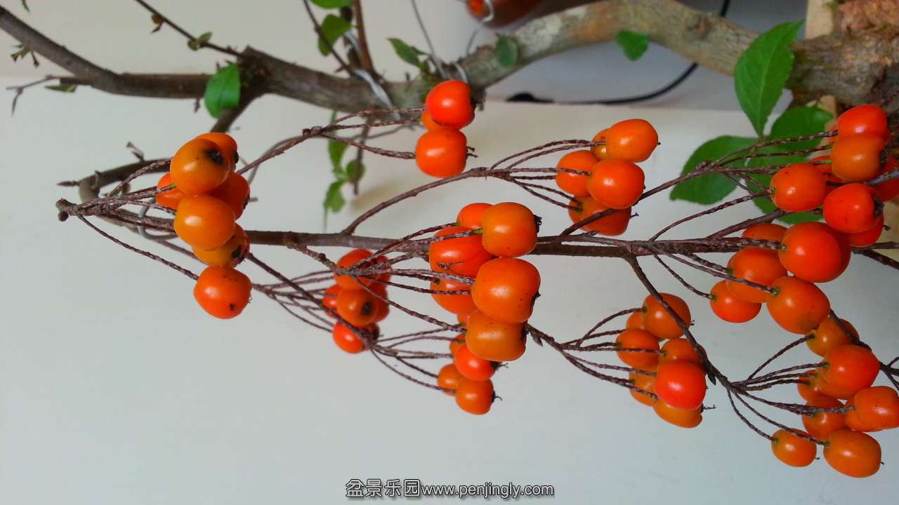 20141124_114149.jpg