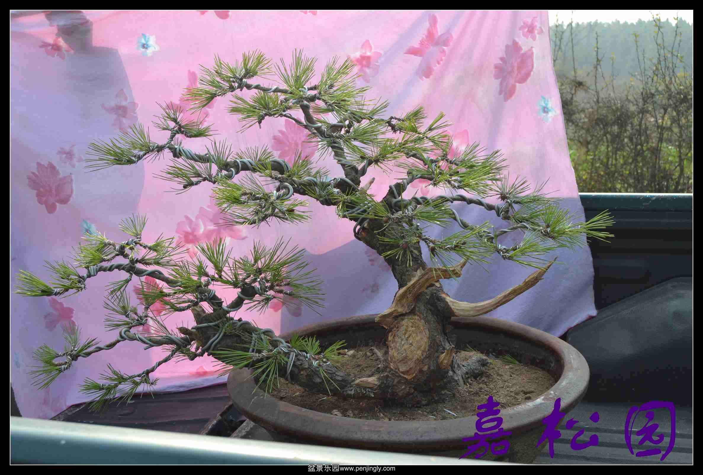 ���� 001.JPG