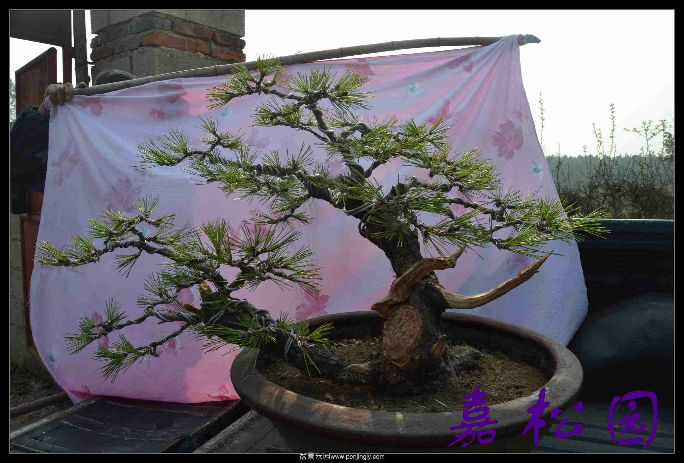 ���� 002.JPG