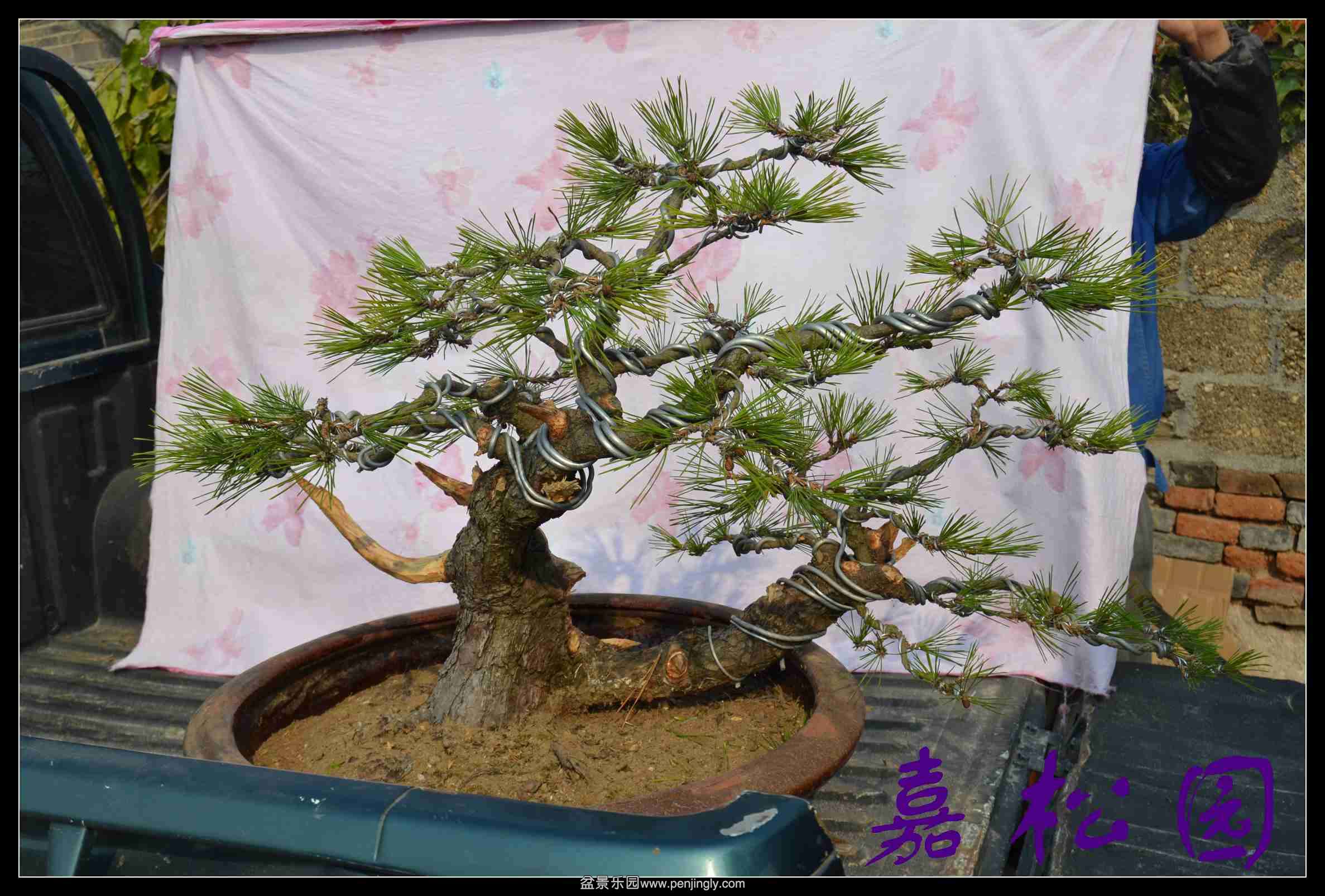 ���� 003.JPG