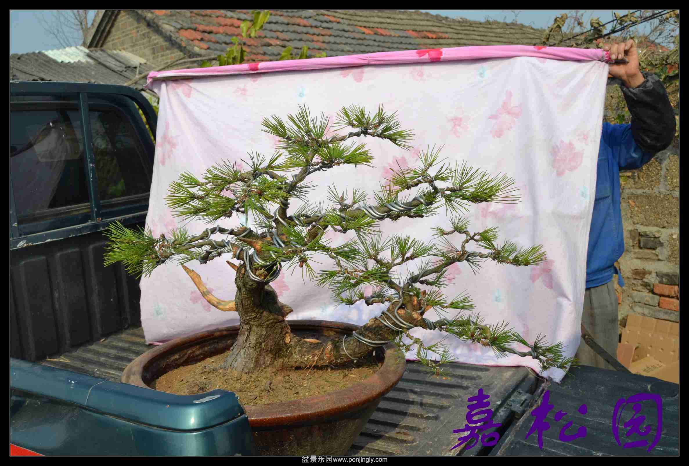 ���� 004.JPG