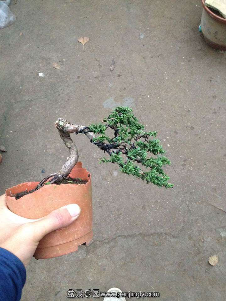 QQͼƬ20141125184201.jpg