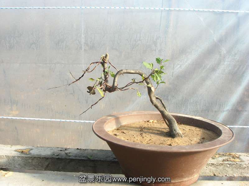 DSC02610_.jpg