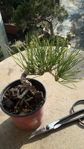 20141126_140621.jpg
