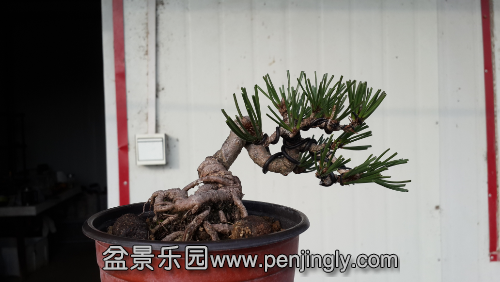 20141126_151344.jpg