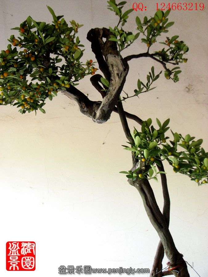 IMG_0487_.jpg
