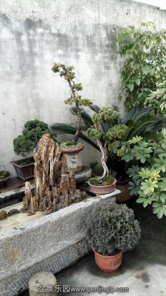 QQͼƬ20141126161253.jpg