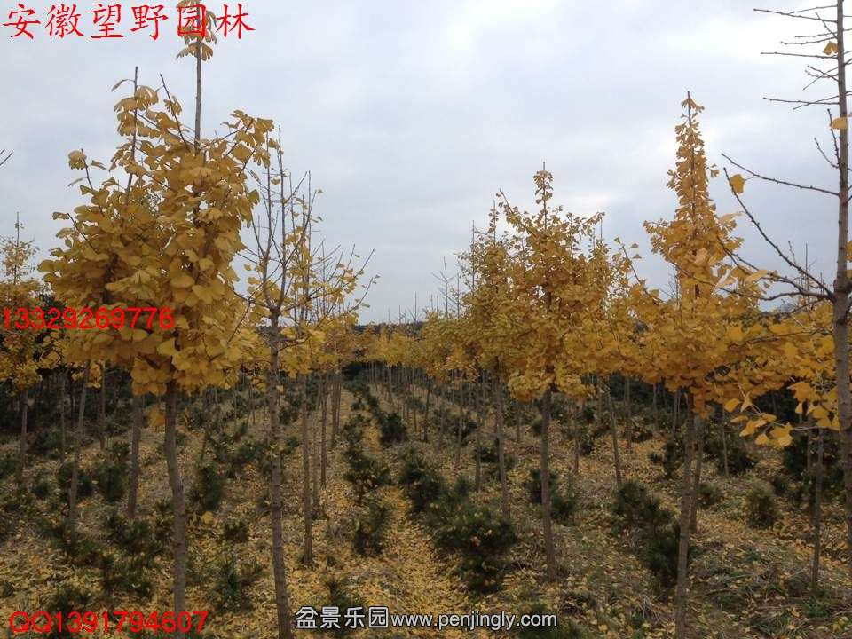 D47DA5A26C8521561A48555E5ADCDD5C.jpg