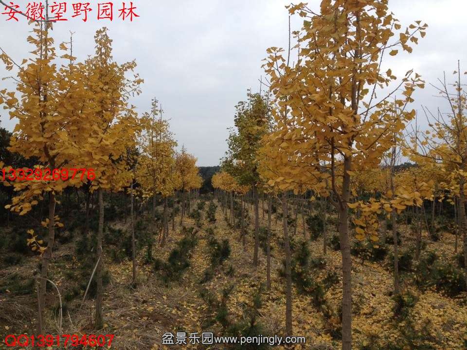 F12DDD88D3EF781643D648B95F716D99.jpg