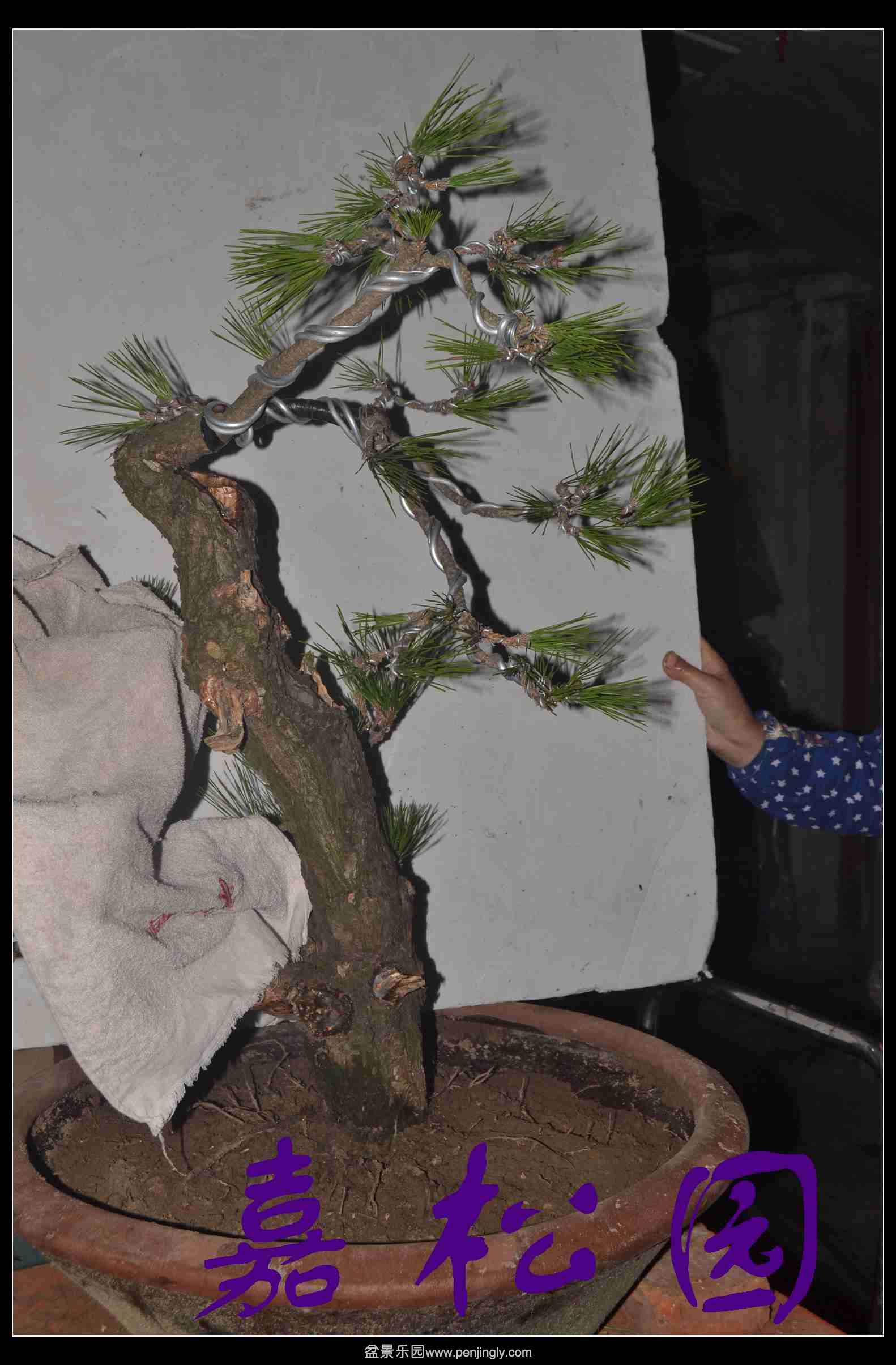 ���� 006.JPG