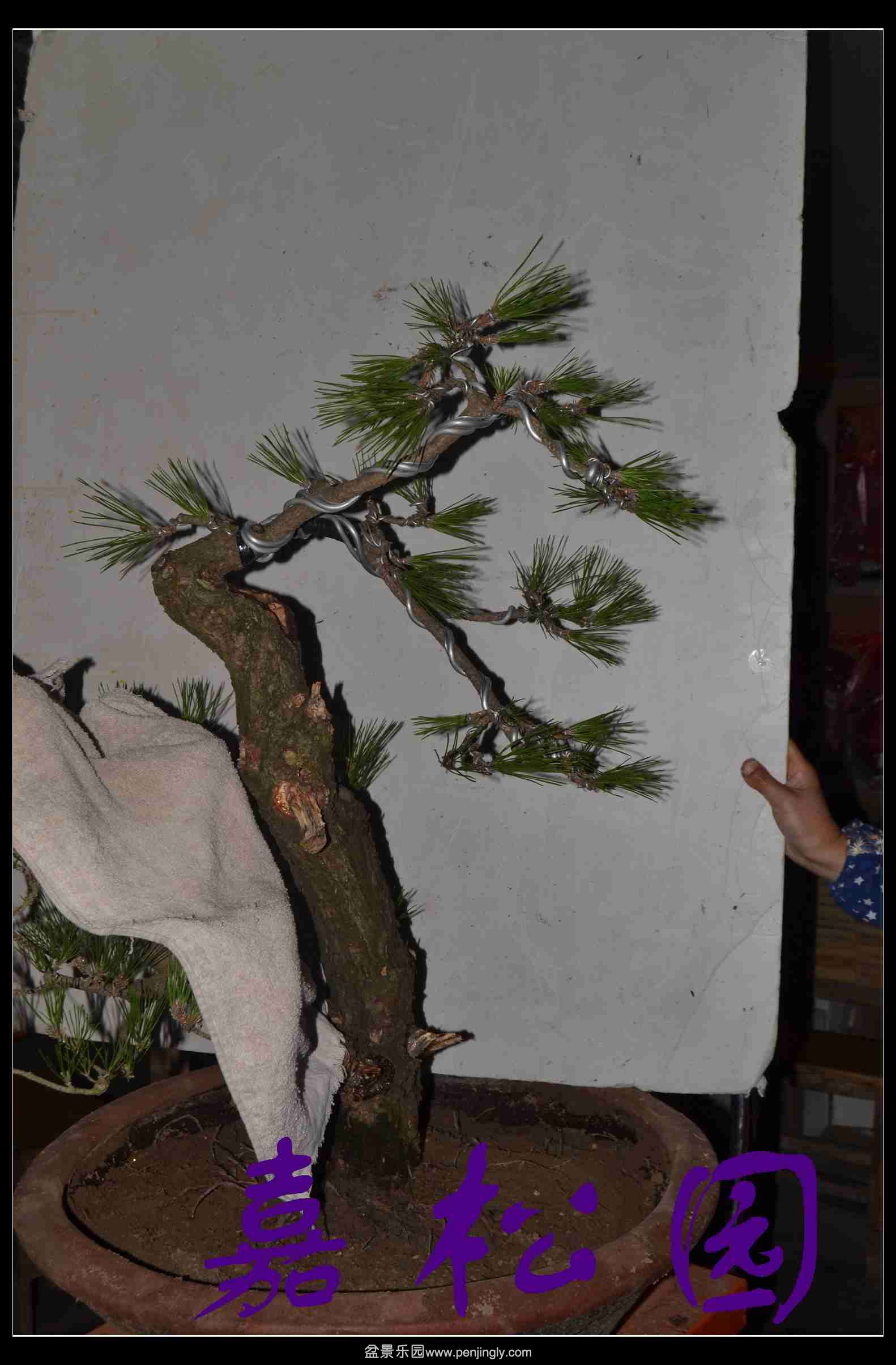 ���� 007.JPG