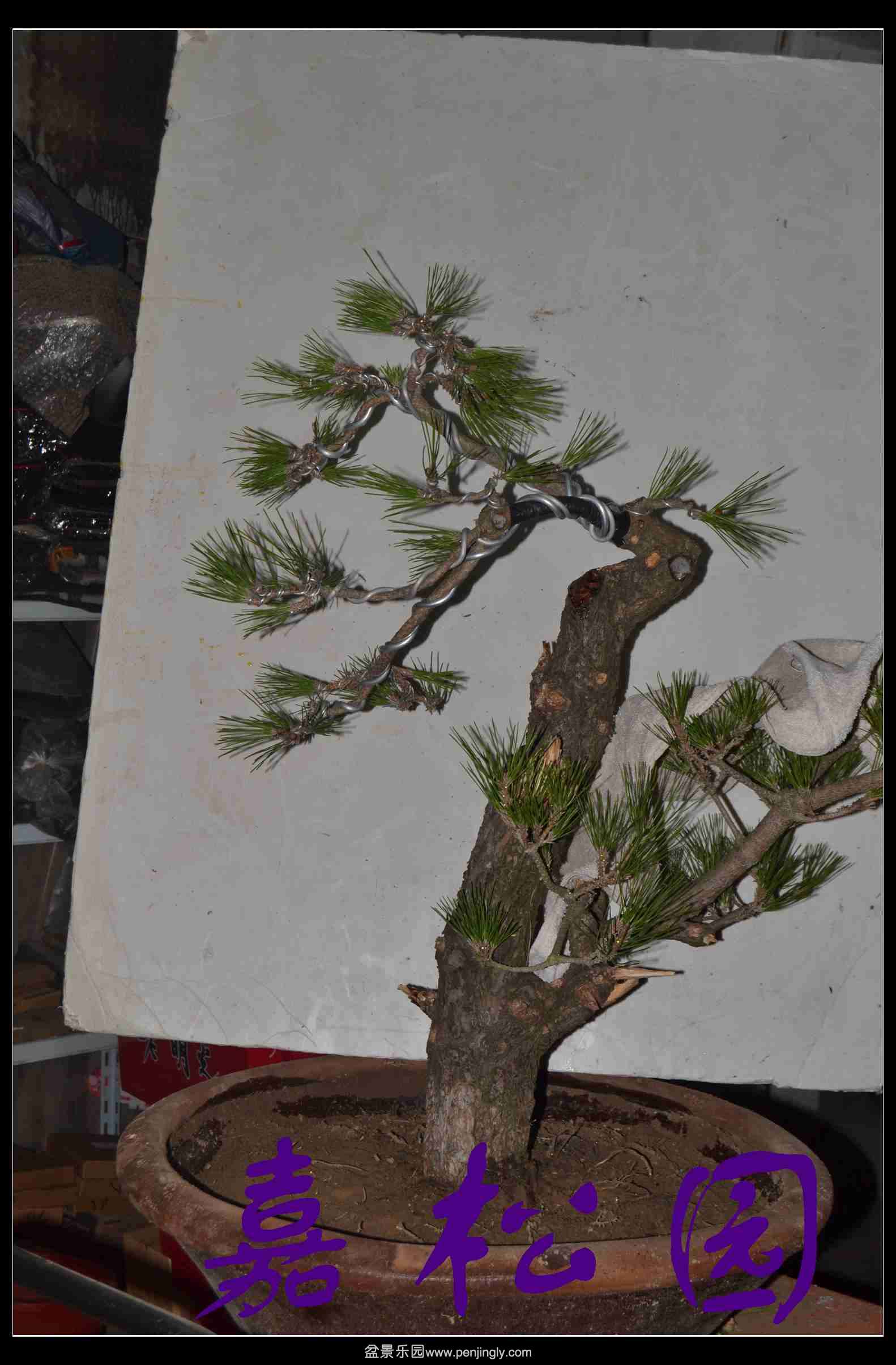 ���� 008.JPG