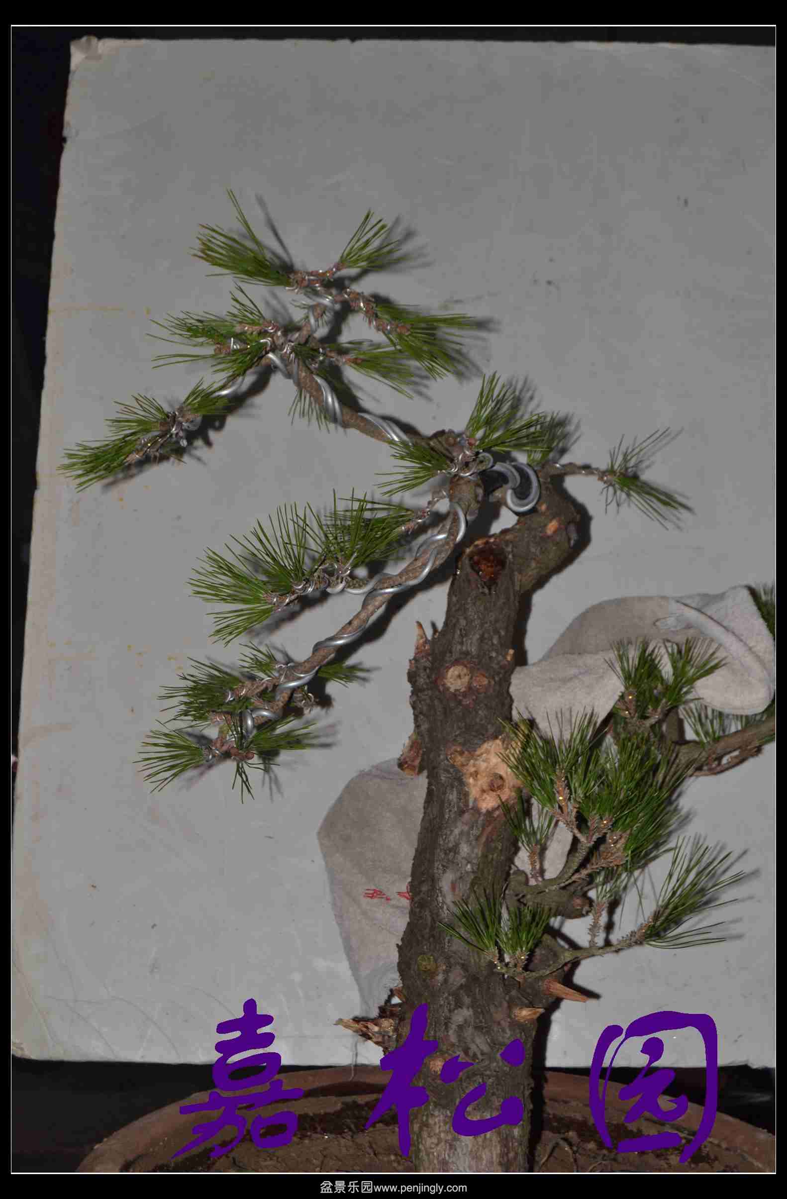 ���� 009.JPG