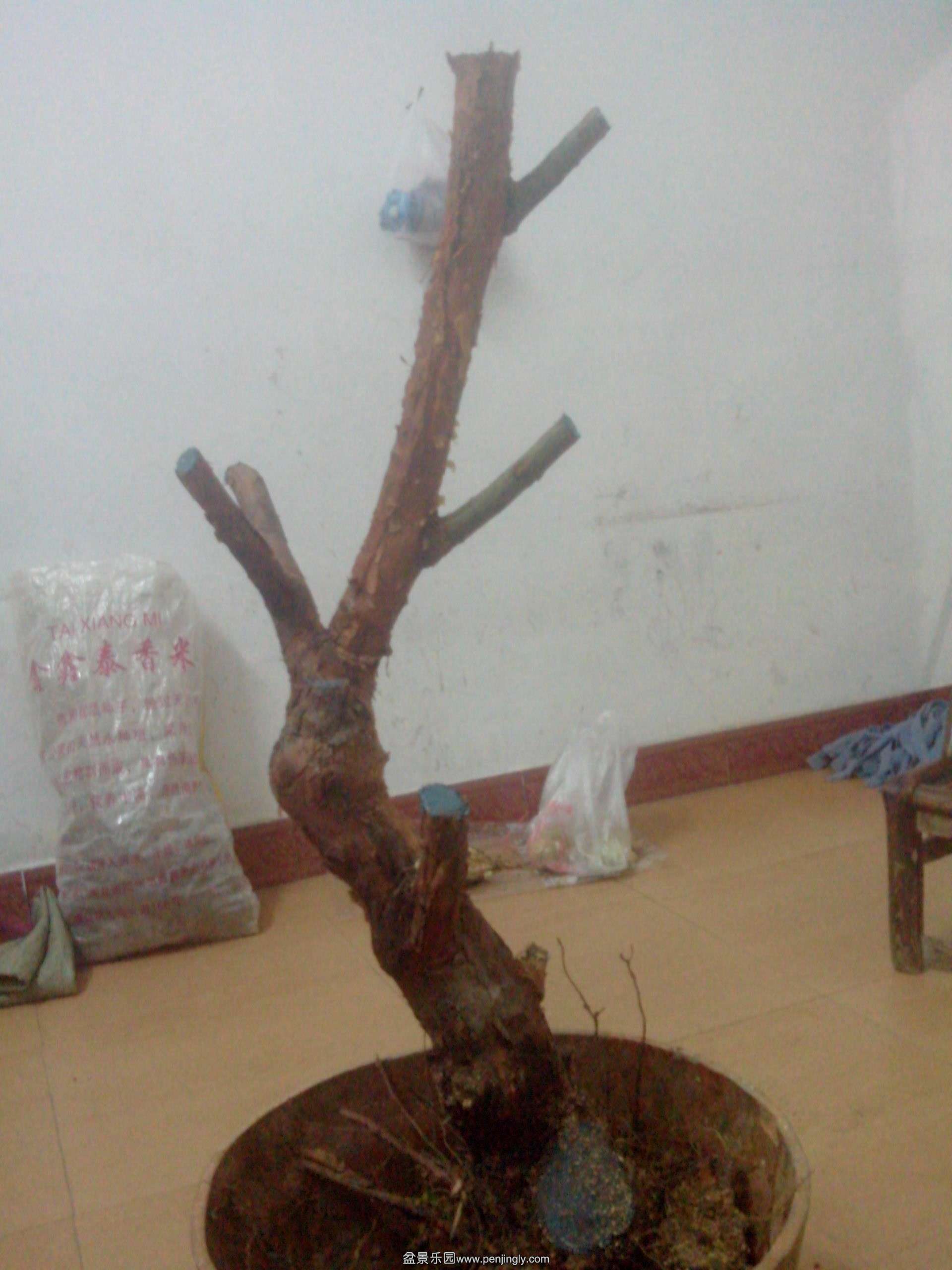 IMG20141126010.jpg