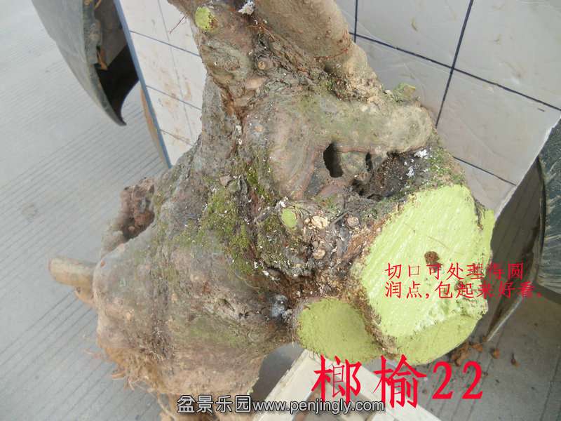CIMG2854.JPG