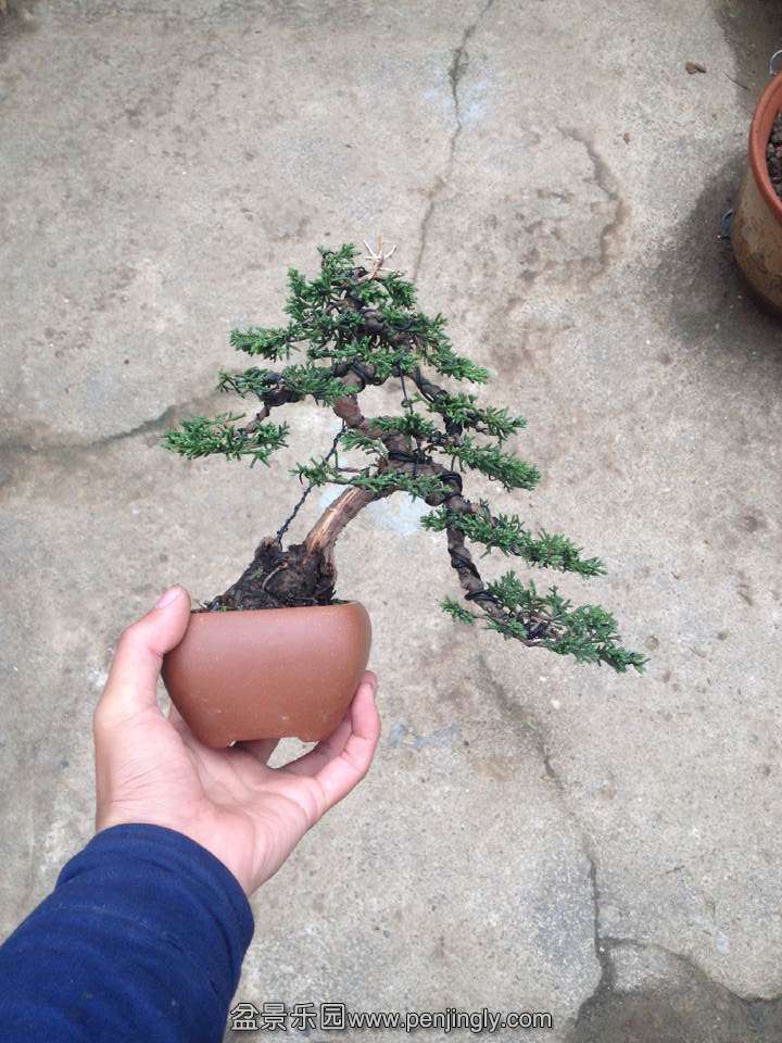 QQͼƬ20141128172445.jpg