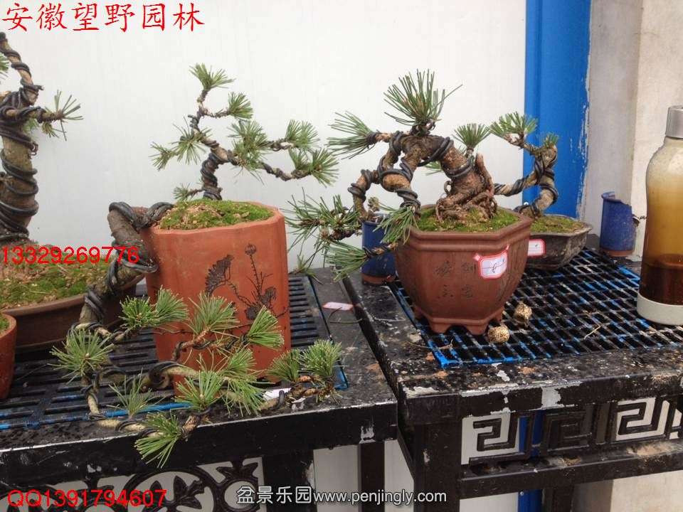 21AD83E3CA249D5E92E9C574CC8087C0.jpg