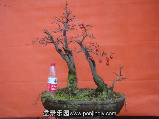 DSC05899.JPG