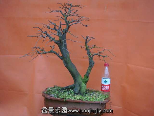 DSC05918.JPG