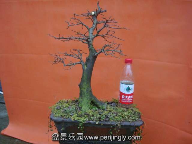 DSC05922.JPG