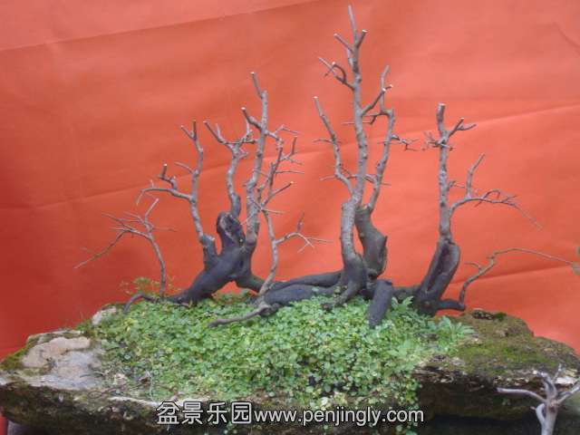 DSC06024.JPG