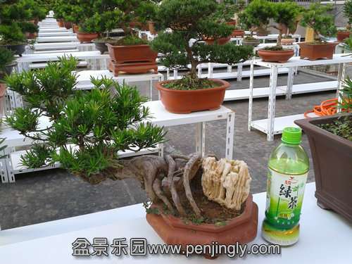 2013-10-01 16.33.19.jpg