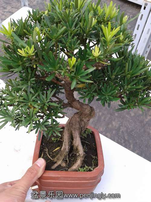 2013-09-29 13.07.57.jpg